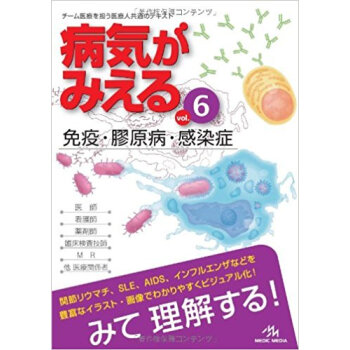 病気がみえる Vol.6 pdf epub mobi 电子书 下载