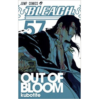 Bleach 57 pdf epub mobi 下载