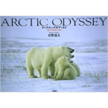 アークティック?オデッセイ 遥かなる極北の記憶 pdf epub mobi 下载