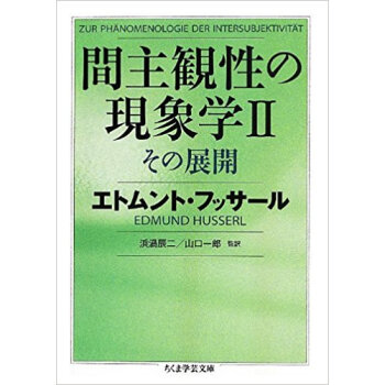 間主観性の現象学 2 pdf epub mobi 下载