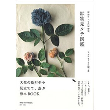 鉱物見タテ図鑑 鉱物アソビの博物学 pdf epub mobi 电子书 下载