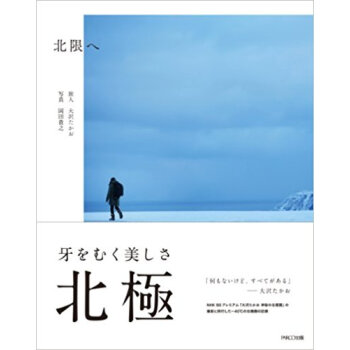 北限へ pdf epub mobi 下载