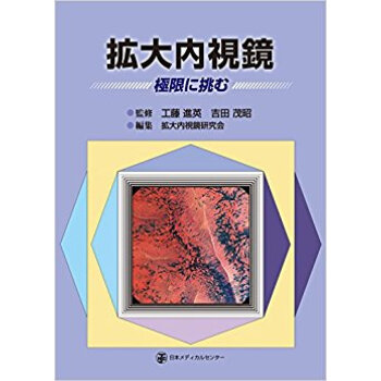 拡大内視鏡 極限に挑む pdf epub mobi 下载