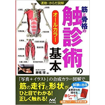 筋と骨格の觸診術の基本 オールカラー