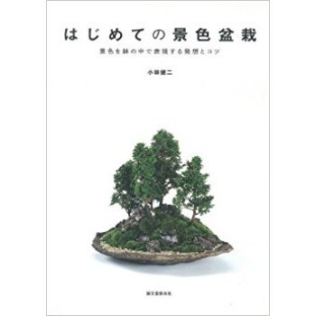 はじめての景色盆栽 景色を鉢の中で表現する発想とコツ pdf epub mobi 下载