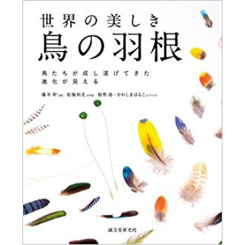 世界の美しき鳥の羽根 鳥たちが成し遂げて pdf epub mobi 下载