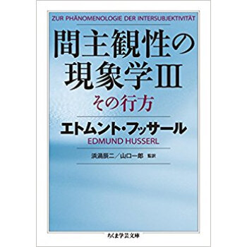 間主観性の現象学 3 その行方