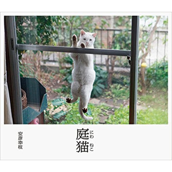 庭猫 pdf epub mobi 下载