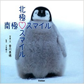 北極スマイル·南極スマイル pdf epub mobi 下载