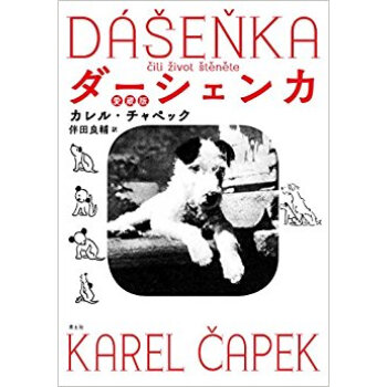 ダーシェンカ 愛蔵版 pdf epub mobi 下载
