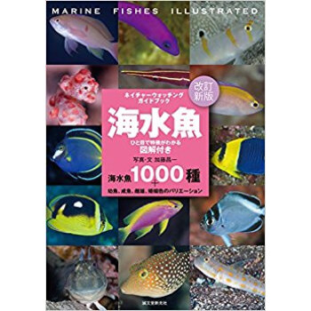 海水魚 ひと目で特徴がわかる図解付き 海水魚1000種+幼魚、成魚、雌雄、婚姻色のバリエーション