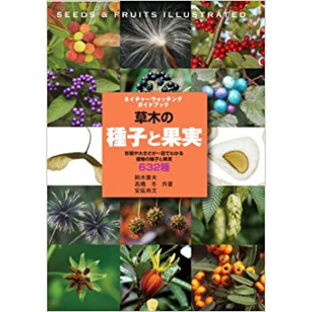 草木の種子と果実 形態や大きさが一目でわかる植物の種子と果実632種 pdf epub mobi 下载
