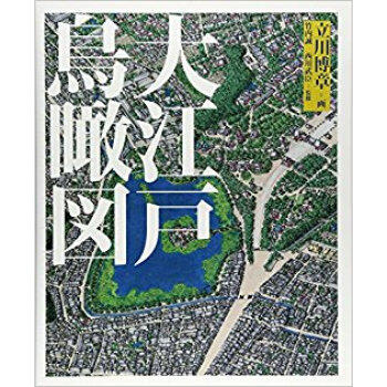 大江戸鳥瞰図 pdf epub mobi 下载