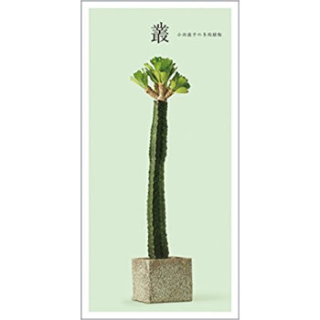 叢 小田康平の多肉植物 pdf epub mobi 下载