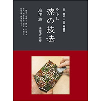 漆の技法 応用篇 pdf epub mobi 下载