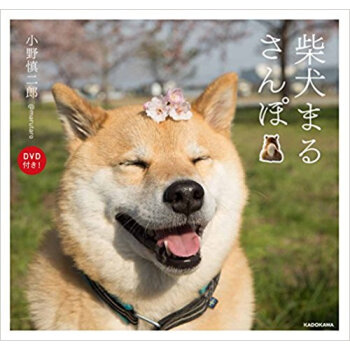 柴犬まるさんぽ Dvd付き pdf epub mobi 下载