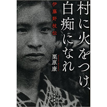 村に火をつけ、白痴になれ 伊藤野枝伝 pdf epub mobi 下载