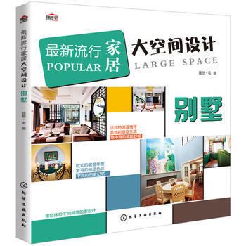 新流行家居大空间设计 别墅 pdf epub mobi 下载
