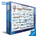 美国直邮 EUROGRAPHICS 航空拼图史 航空拼图史 pdf epub mobi 下载
