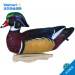 美國直郵 Flambeau Outdoors Flambeau Wood Duck Decoys