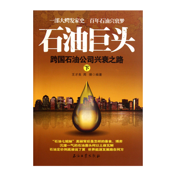 石油巨头：跨国石油公司兴衰之路(下) pdf epub mobi 下载