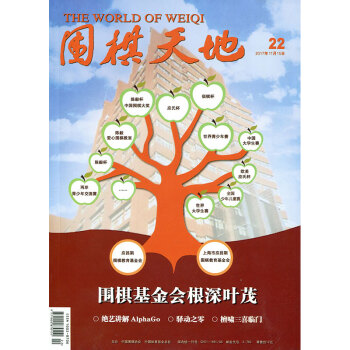 圍棋天地雜誌2017年第22期 pdf epub mobi 下载