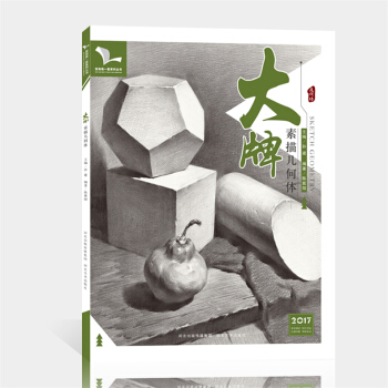 2017我有我一套 大牌素描几何体 单个到多个几何体结构与明暗单体组合精讲解析 pdf epub mobi 下载