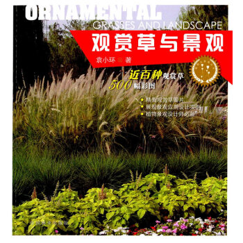 观赏草与景观