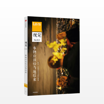视觉013 事物应当恰当地结束 Lens 出品中信出版社图书 畅销书 正版书籍 pdf epub mobi 下载