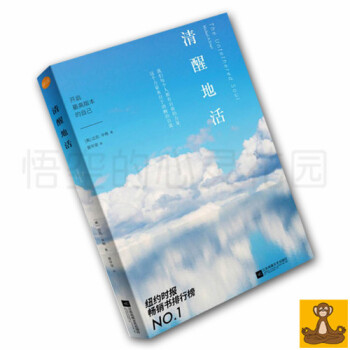 正版 清醒的活 迈克尔 辛格 臣服实验 作者畅销作品 原名 不羁的灵魂 台版书名 覺醒的你 pdf epub mobi 下载