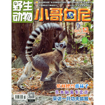 小哥白尼 野生動物畫報雜誌2017年第12期 采訪一隻功夫狐猴