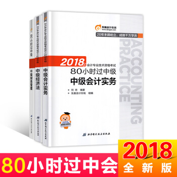 中级会计职称2018教材东奥轻松过关 名师带你80小时过中级会计实务 经济法 财务管理 pdf epub mobi 下载