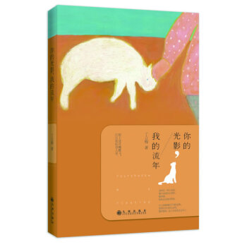 你的光影,我的流年 丁立梅自传式长篇散文 正版书籍 江南悠悠人世风光尽在笔下中国现当代随笔