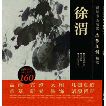 书画名家杰作复制精选——徐渭 pdf epub mobi 下载