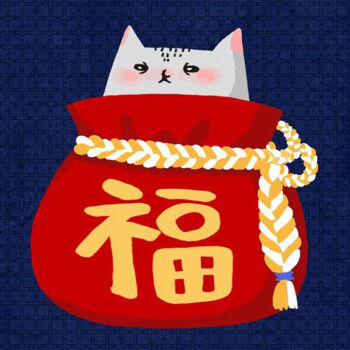 福袋 教辅类 pdf epub mobi 电子书 下载