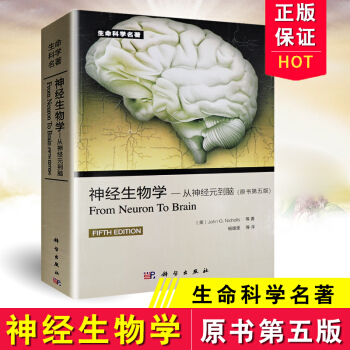 正版包郵 神經生物學：從神經元到腦（原書第5版） [From Neuron to Brai pdf epub mobi 電子書 下載