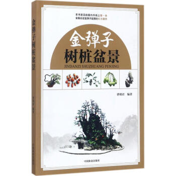 金彈子樹樁盆景 pdf epub mobi 下载