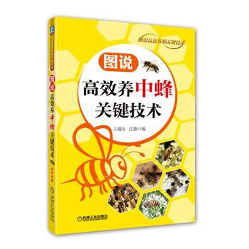 圖說高效養中蜂關鍵技術 湖北新華書店