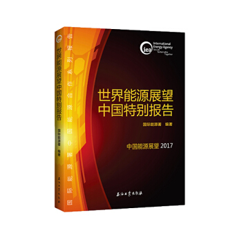 世界能源展望中国特别报告