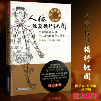 正版 人體經筋循行地圖