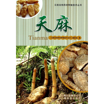 天麻/雲南名特藥材種植技術叢書