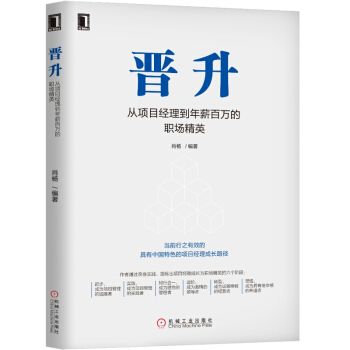 晋升-从项目经理到年薪百万的职场精英 肖杨 项目经理职业发展书籍 项目经理晋升方法 pdf epub mobi 下载