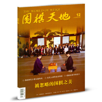 圍棋天地雜誌2018年第12期 pdf epub mobi 下载