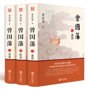 曾国藩全集 唐浩明 血祭 野焚 黑雨 全三册 长篇历史小说书籍曾国藩传 pdf epub mobi 下载