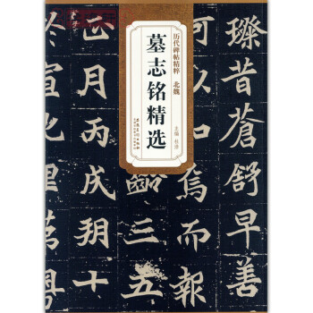 北魏墓志铭精选元桢司马昞和妻孟敬训元显俊崔敬邕李壁张黑女历代碑帖精粹 pdf epub mobi 电子书 下载