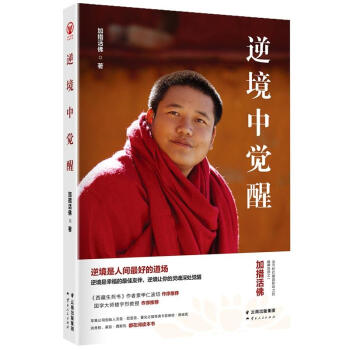 逆境中觉醒 pdf epub mobi 下载