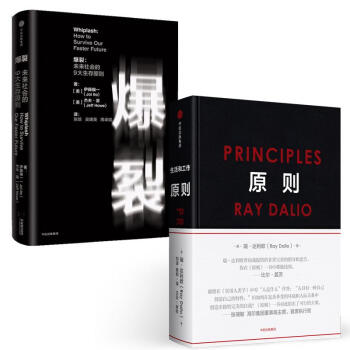 原則(雷達裏奧)+爆裂：未來社會的9大生存法則 pdf epub mobi 下载