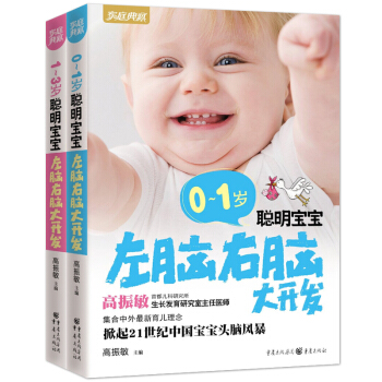 0-1岁聪明宝宝左脑右脑大开发(家庭典藏系列) 全2册 新生儿婴儿左右脑全脑大脑益智力启蒙故事书 pdf epub mobi 下载