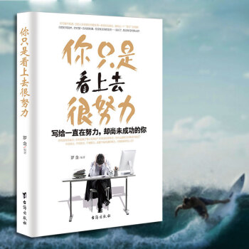 励志书籍心灵鸡汤 你只是看上去很努力