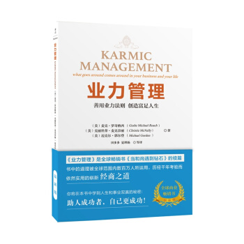 业力管理-善用业力法则 创造富足人生(新版) 当和尚遇到钻石》续篇 能